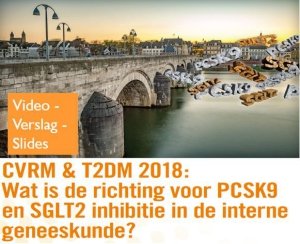 CVRM & T2DM 2018: Wat is de richting voor PCSK9- en SGLT2-inhibitie in de interne geneeskunde?