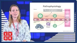 Charlotte Koopal bespreekt de pathofysiologie van familiaire dysbetalipoproteïnemie, hoe de ziekte gediagnosticeerd kan worden en aanbevelingen voor de behandeling ervan.