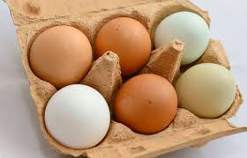 Hogere consumptie van eieren of cholesterol uit voeding geassocieerd met hoger risico op incidente CVD en mortaliteit