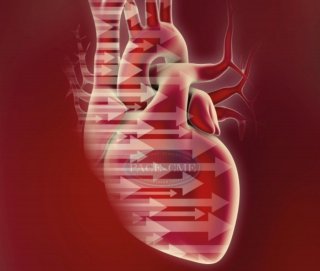 De belangrijkste boodschappen van de 2021 ESC/HFA richtlijn voor hartfalen omvatten een simpel behandelalgoritme voor HFrEF gebaseerd op vroege toediening van 4 medicijnklassen, waaronder SGLT2-remmers, en behandelingen op maat gebaseerd op fenotypen. 