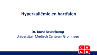 Bekijk de slides van de presentatie van dr. Joost Beusekamp, als onderdeel van de serie 