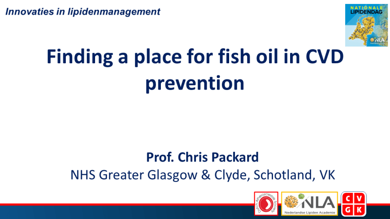 Slides: Finding a place for fish oil in CVD prevention