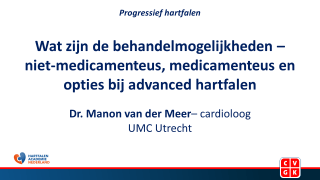Bekijk de slides van de presentatie van dr. Manon van der Meer, gehouden tijdens de Nationale Hartfalendag 2022.