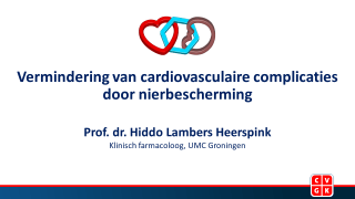 Bekijk de slides van de presentatie van prof. dr. Hiddo Lambers Heerspink, gehouden tijdens het 4e PANORAMA-symposium op 8 december 2023.