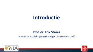 Bekijk de slides van de presentatie van prof. dr. Erik Stroes, gehouden tijdens een online avondsymposium over gepersonaliseerde lipidenverlaging in de praktijk.